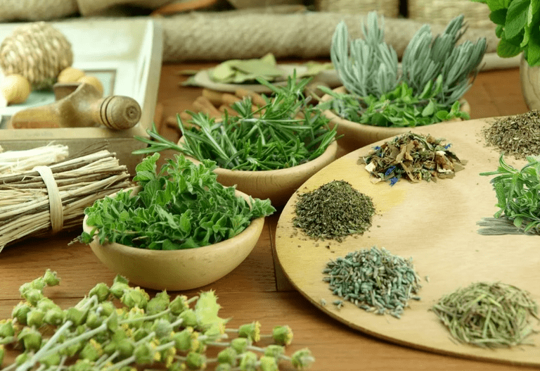 Les gouttes Nemanex se composent uniquement d'herbes naturelles