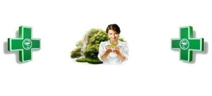 méthodes de traitement des parasites vivant dans le corps humain