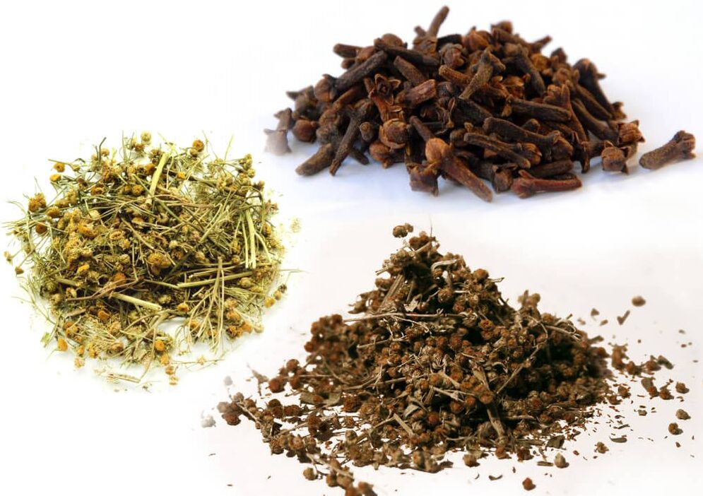 Absinthe, tanaisie et clou de girofle pour se débarrasser des parasites