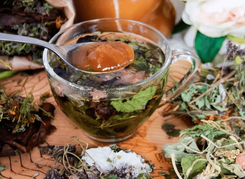 Décoction antiparasitaire à base d'herbes médicinales